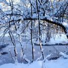 DSC00744_JPG-1355348925