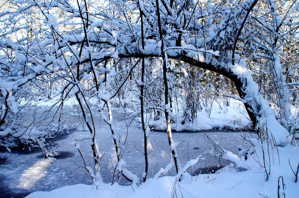 DSC00744_JPG-1355348925