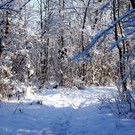 DSC00745_JPG-1355348940