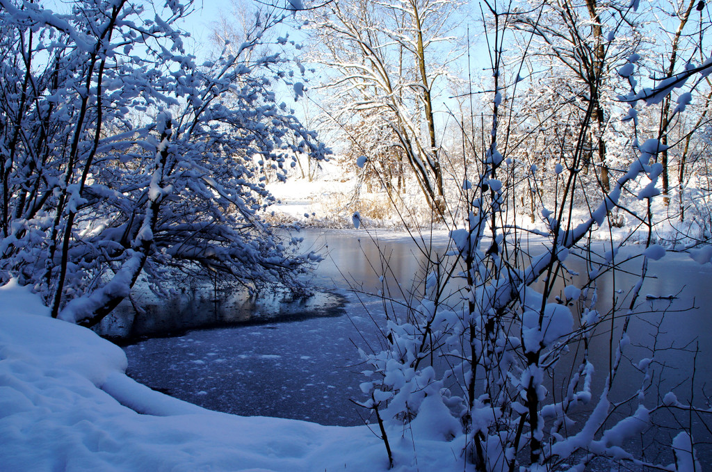 DSC00746_JPG-1355348954