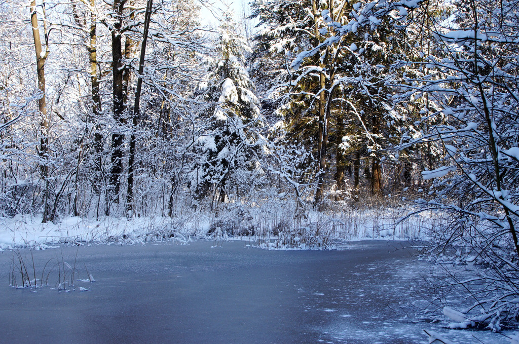 DSC00747_JPG-1355348971