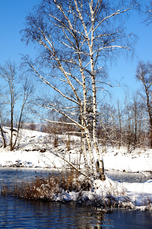 DSC00749_JPG-1355348986