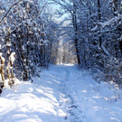 DSC00750_JPG-1355349002