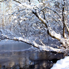 DSC00751_JPG-1355349020