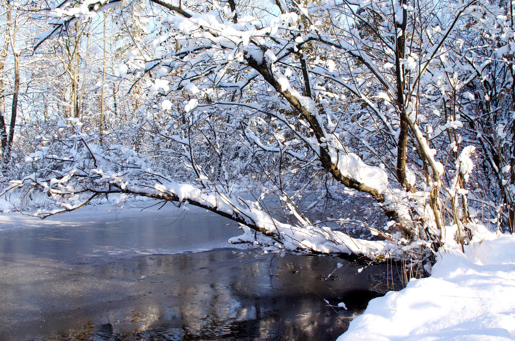 DSC00751_JPG-1355349020