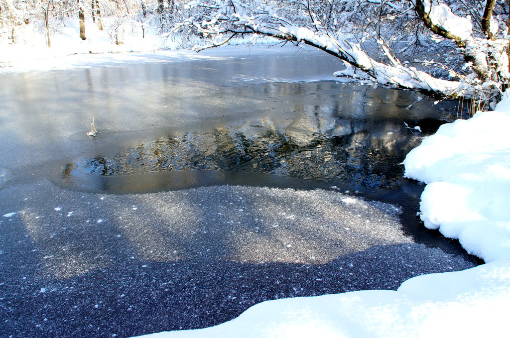 DSC00752_JPG-1355349035