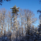 DSC00753_JPG-1355349054