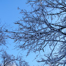 DSC00754_JPG-1355349069