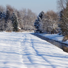 DSC00757_JPG-1355349100