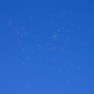 DSC00802_JPG-1355353501