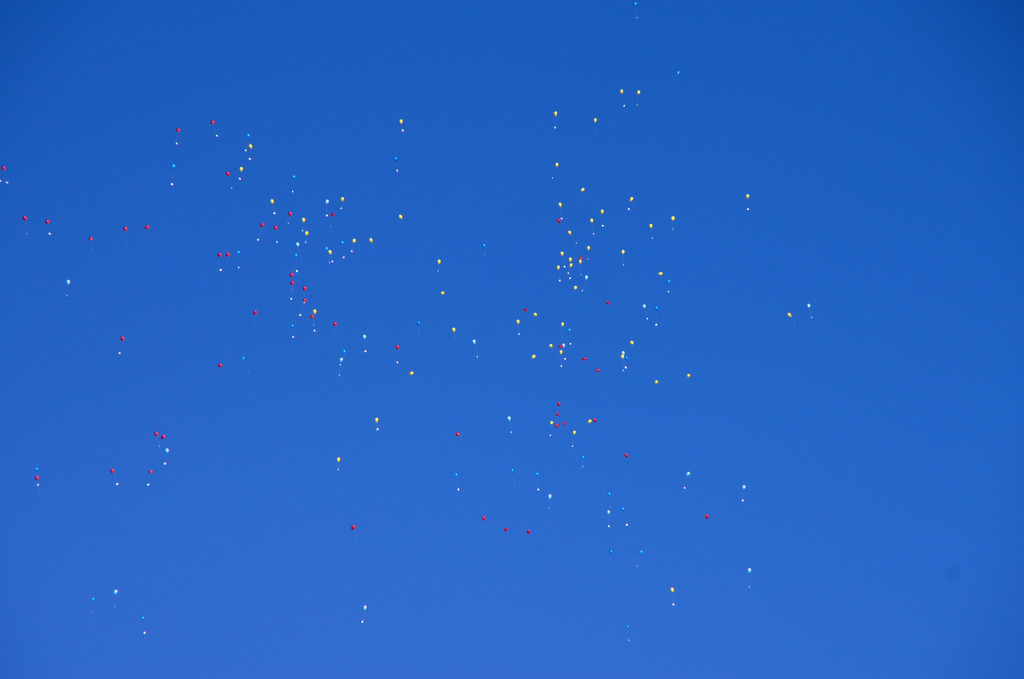 DSC00802_JPG-1355353501