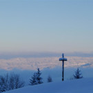 P1050398 _Large__JPG-1355374675