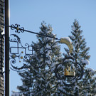 DSC06458.JPG