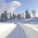 _DSC7517.JPG