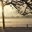 _DSC3714.JPG