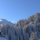 12122012739_jpg-1355399056