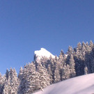 12122012743_jpg-1355399068