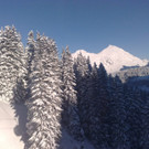 12122012749_jpg-1355399084