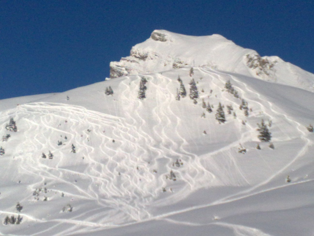 12122012764_jpg-1355399353