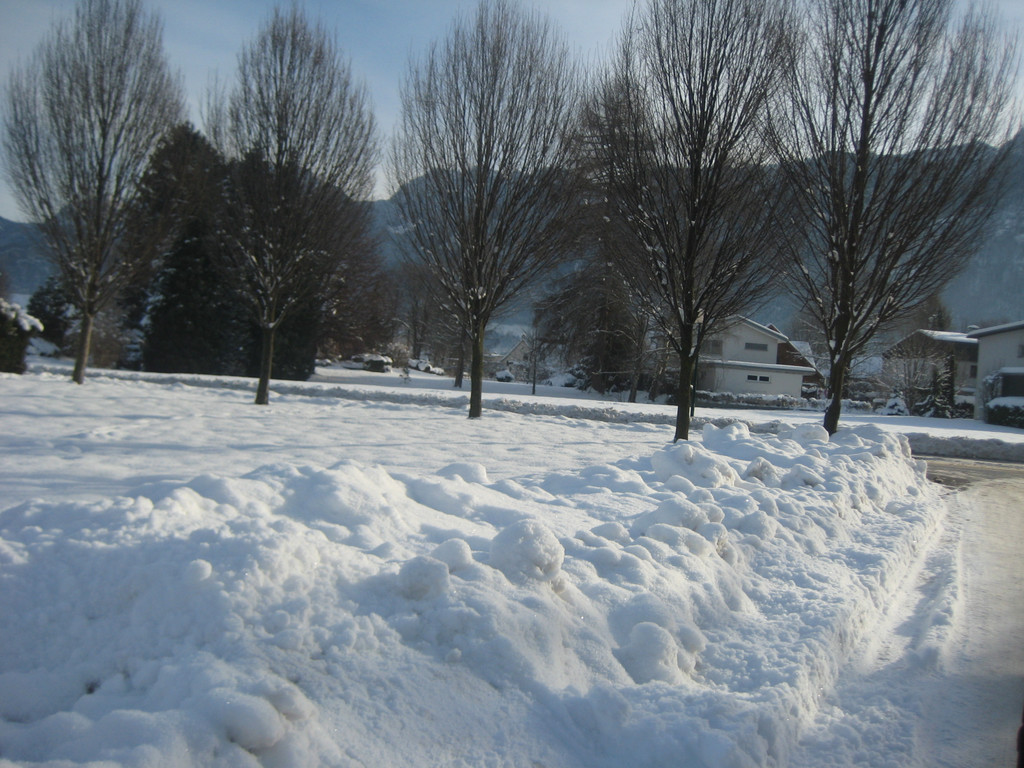 grilla_jpg 002_jpg-1355405934