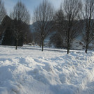 Winterimpressionen - Altach