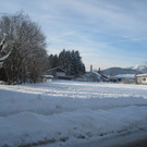 grilla_jpg 003_jpg-1355405939