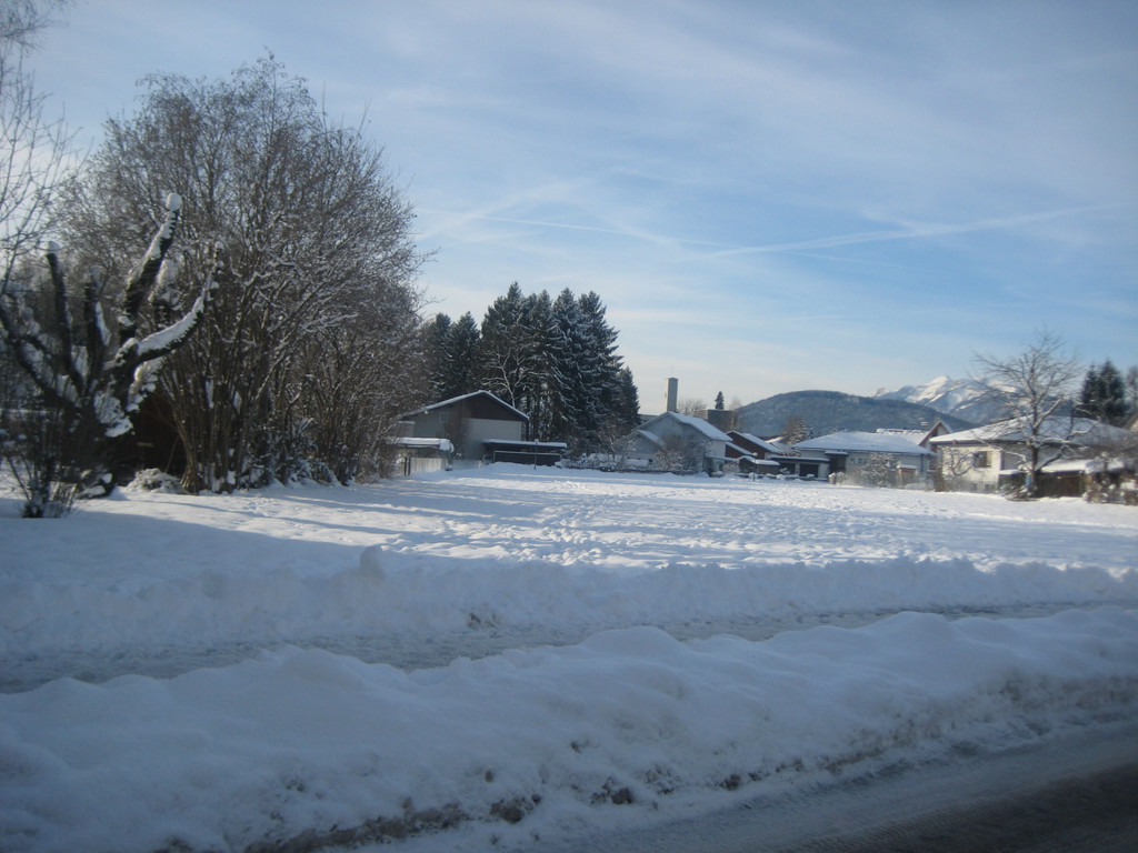 grilla_jpg 003_jpg-1355405939
