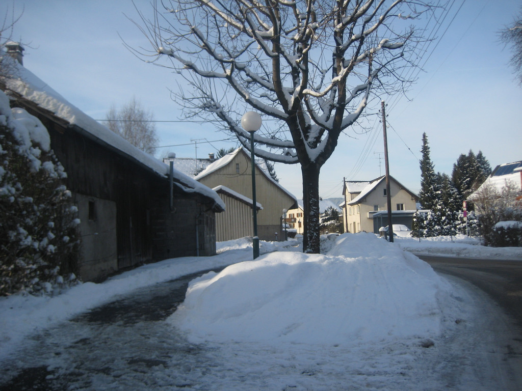 grilla_jpg 004_jpg-1355405947