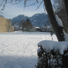 grilla_jpg 028_jpg-1355406017