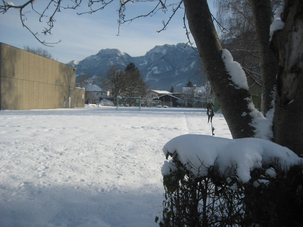 grilla_jpg 028_jpg-1355406017