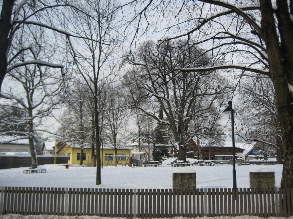 grilla_jpg 161_jpg-1355406042