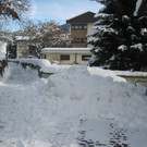 grilla_jpg 129_jpg-1355406537