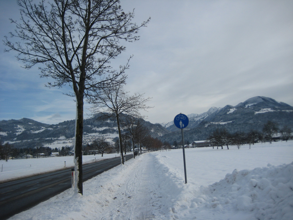 grilla_jpg 152_jpg-1355406593