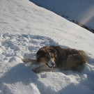 grilla_jpg 057_jpg-1355406943