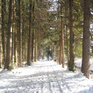 grilla_jpg 083_jpg-1355407021