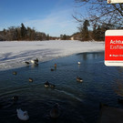 Eisfläche am Lepi-Weiher