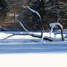 normal_13122012fmt_lepiweiher_ta_005.JPG