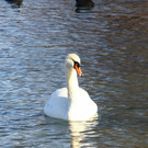 normal_13122012fmt_lepiweiher_ta_016.JPG