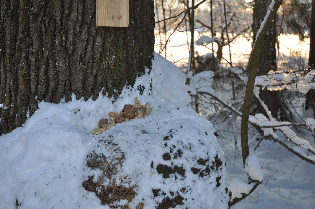 DSC_0030_JPG-1355409276