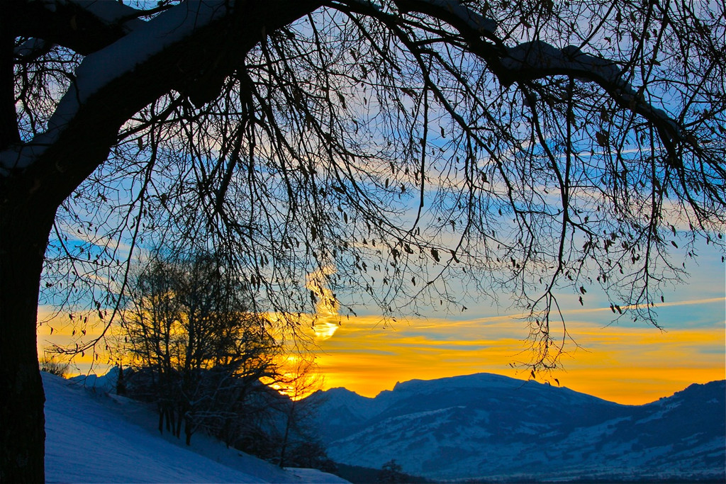 BK_Winterwunderland_121212 40_jpg-1355409347