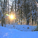 BK_Winterwunderland_121212 1_jpg-1355409028