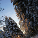 BK_Winterwunderland_121212 3_jpg-1355409047