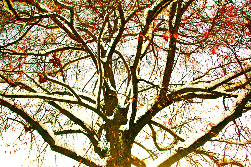 BK_Winterwunderland_121212 41_jpg-1355409363