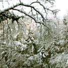 BK_Winterwunderland_121212 47_jpg-1355409413