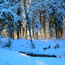 BK_Winterwunderland_121212_jpg-1355409464