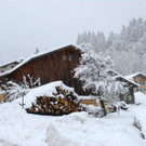 _c_ Gerhard Scopoli - Schnee Latschau - 255.jpg