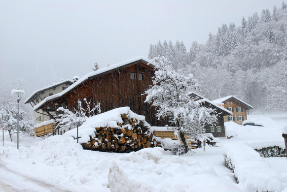 _c_ Gerhard Scopoli - Schnee Latschau - 255.jpg