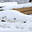 _c_ Gerhard Scopoli - Schnee Latschau - 266.jpg