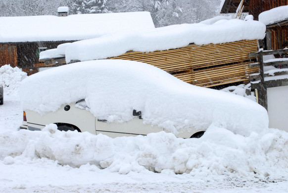 _c_ Gerhard Scopoli - Schnee Latschau - 266.jpg