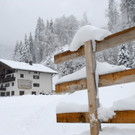 _c_ Gerhard Scopoli - Schnee Latschau - 278.jpg
